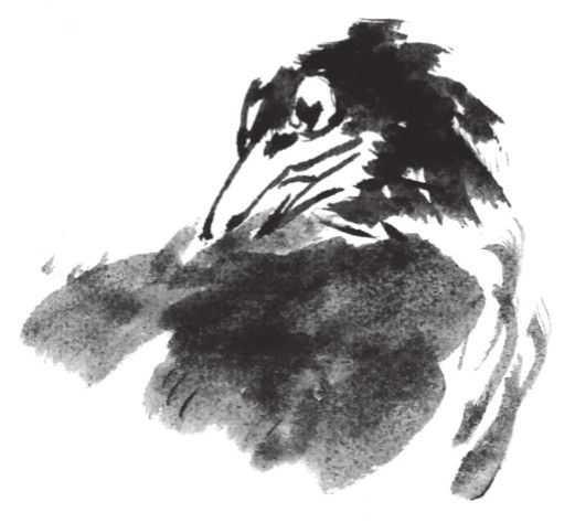 禽鸟画法
