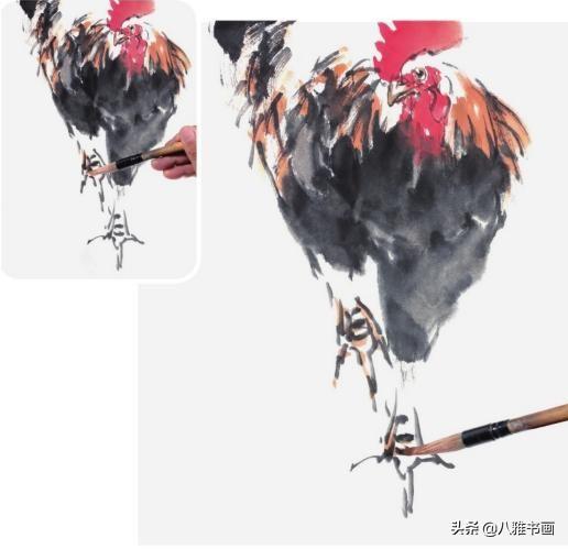 正面行走的公鸡的画法