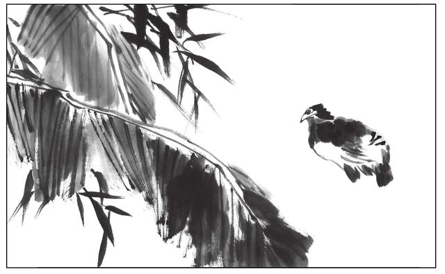 禽鸟画法