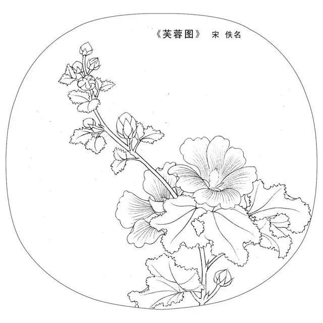 宋代佚名花卉白描线稿30张