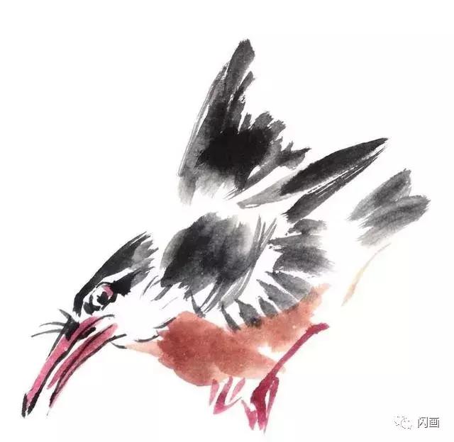 麻雀,燕子,翠鸟的画法