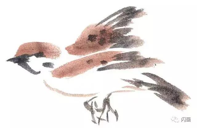 麻雀,燕子,翠鸟的画法