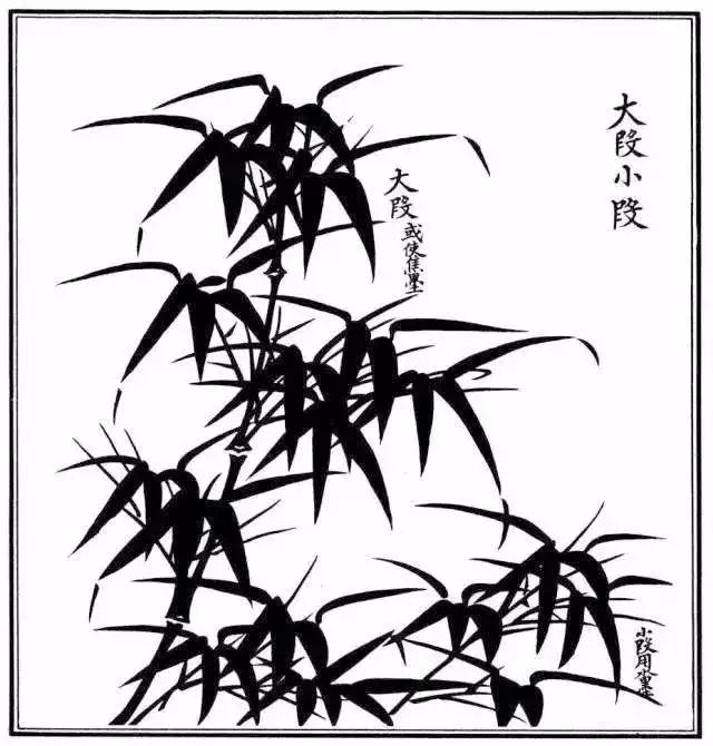 教你最常见竹子画法