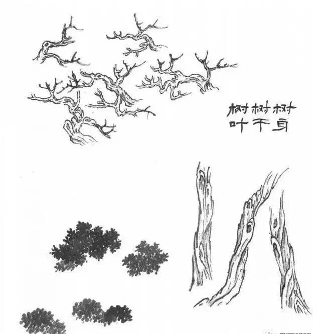 山水画基础技法,树、竹、芦苇