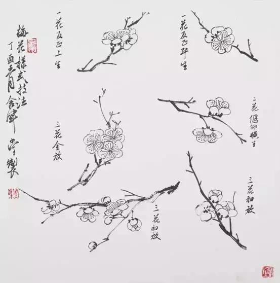 梅花画不好？不要紧，来看看这篇文章吧