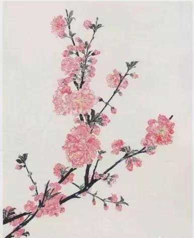 简单国画教程：桃花画法