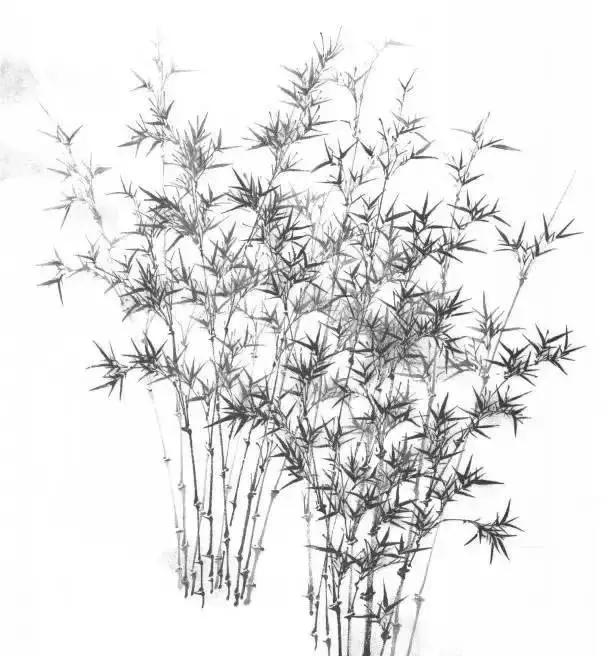 山水画基础技法,树、竹、芦苇
