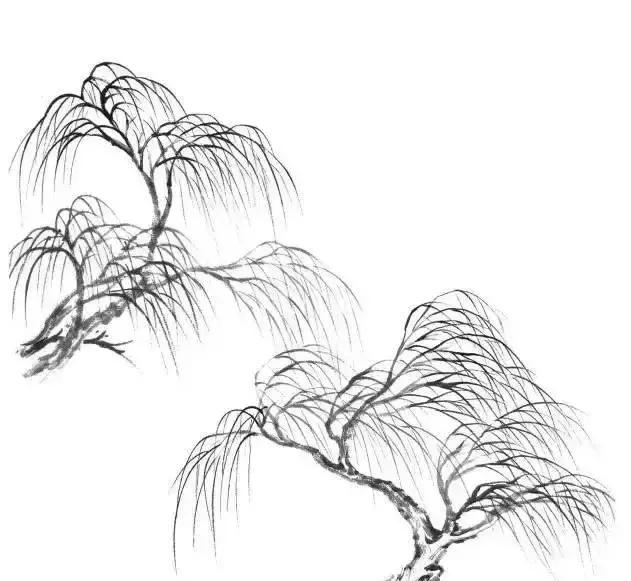 山水画基础技法,树、竹、芦苇