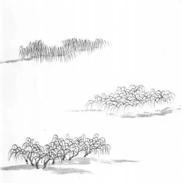 山水画基础技法,树、竹、芦苇