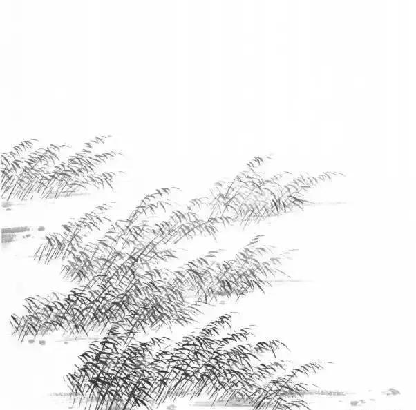 山水画基础技法,树、竹、芦苇