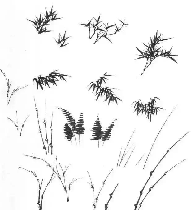 山水画基础技法,树、竹、芦苇