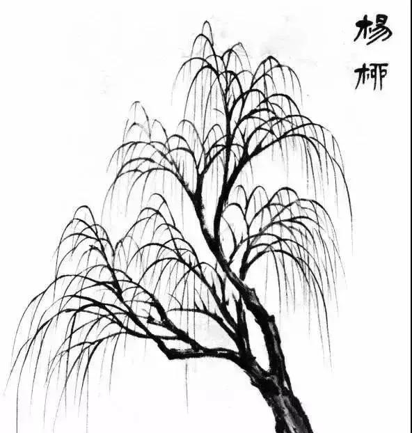 山水画基础技法,树、竹、芦苇
