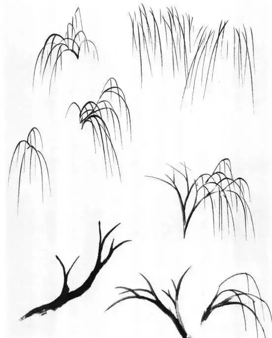 山水画基础技法,树、竹、芦苇