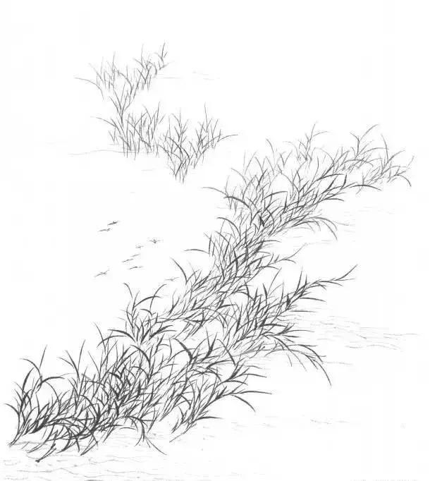 山水画基础技法,树、竹、芦苇