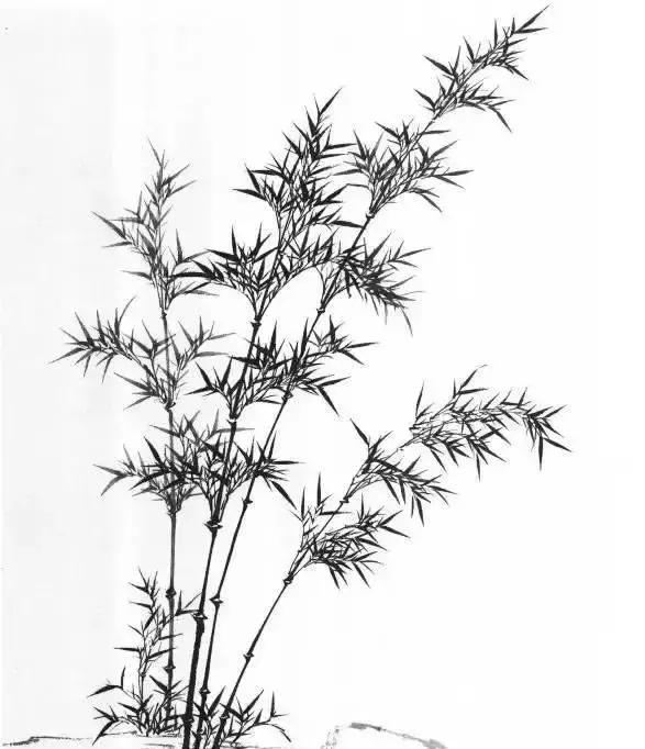 山水画基础技法,树、竹、芦苇