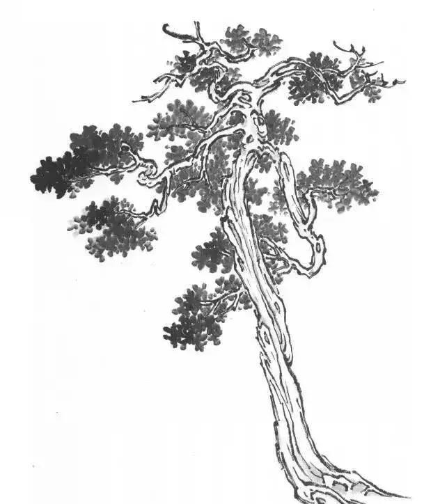 山水画基础技法,树、竹、芦苇