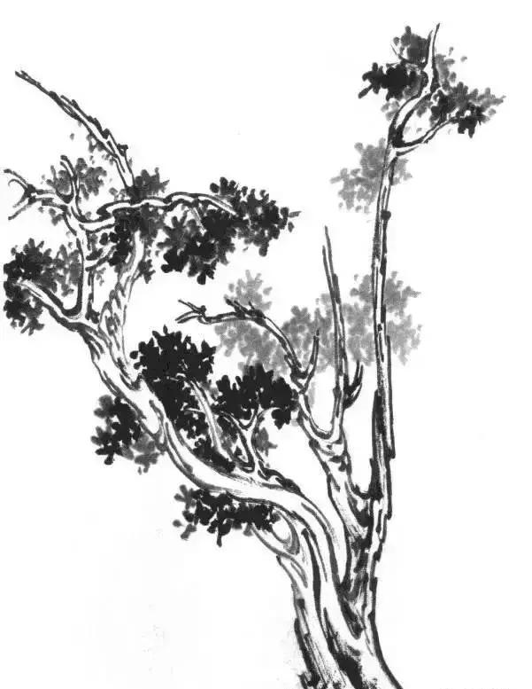 山水画基础技法,树、竹、芦苇
