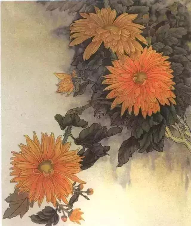 工笔菊花画法详细教程,文末附线描,收藏