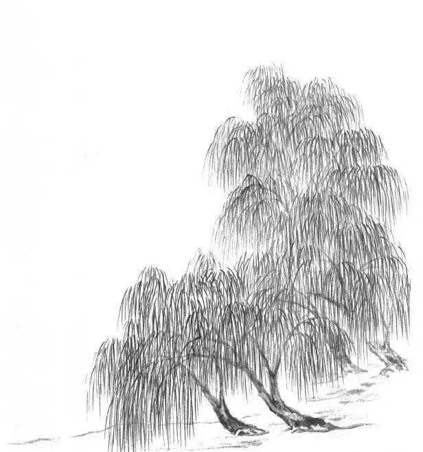 山水画基础技法,树、竹、芦苇