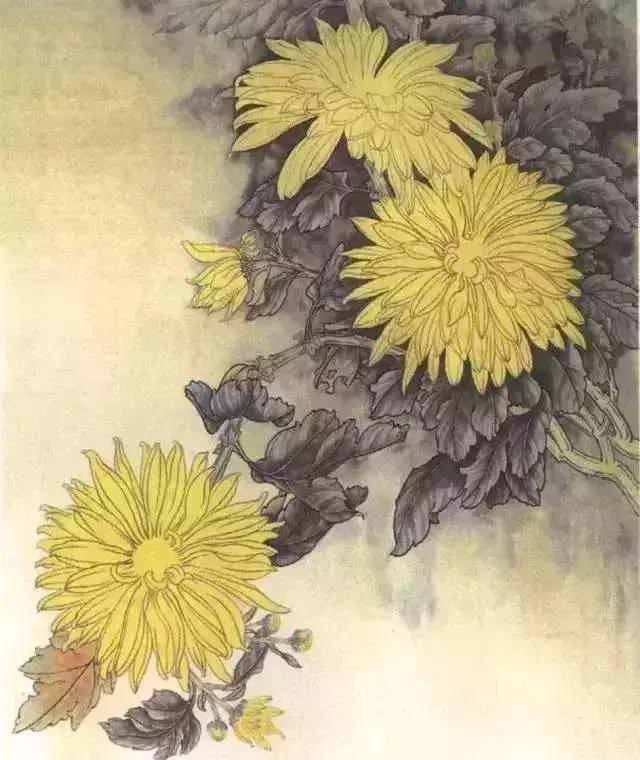 工笔菊花画法详细教程,文末附线描,收藏