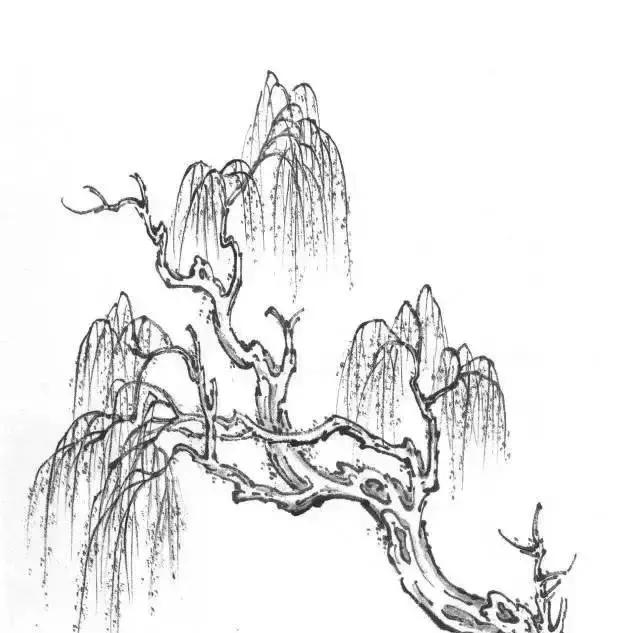 山水画基础技法,树、竹、芦苇