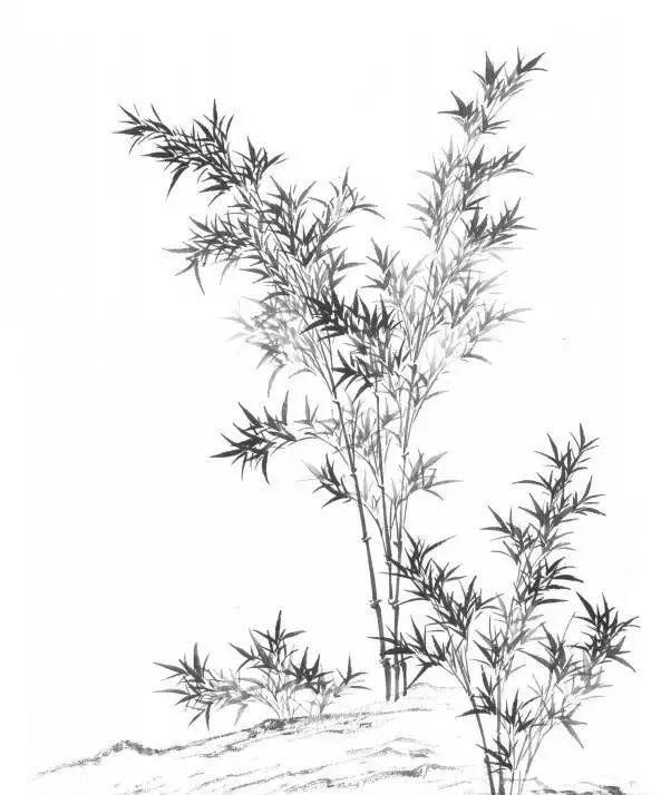 山水画基础技法,树、竹、芦苇