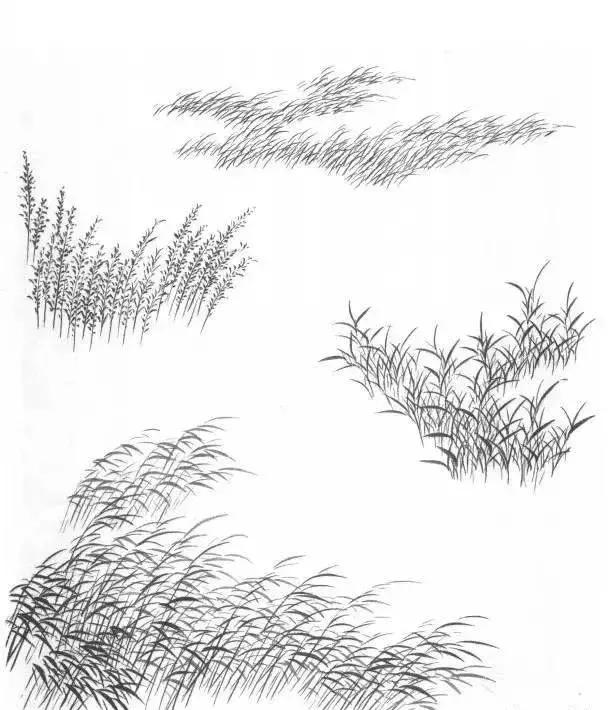 山水画基础技法,树、竹、芦苇