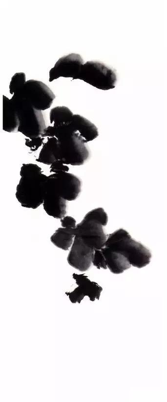 写意丝瓜、叶子、藤蔓、花瓣的画法