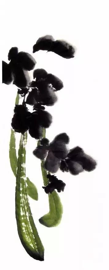 写意丝瓜、叶子、藤蔓、花瓣的画法