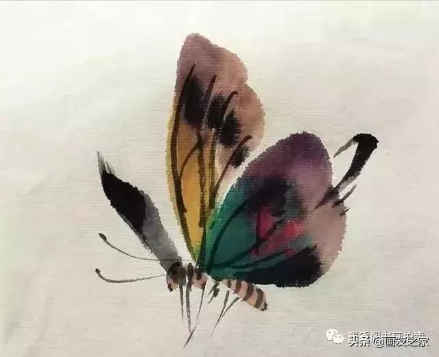 几种写意蝴蝶的画法