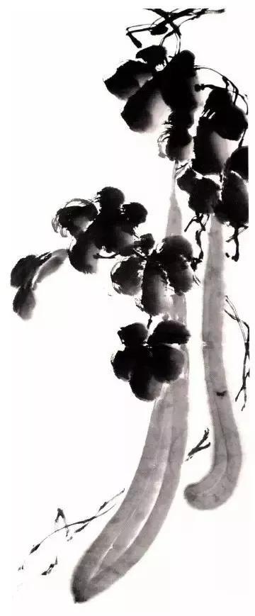 写意丝瓜、叶子、藤蔓、花瓣的画法