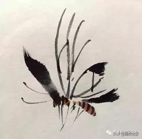 几种写意蝴蝶的画法