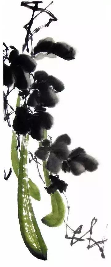 写意丝瓜、叶子、藤蔓、花瓣的画法