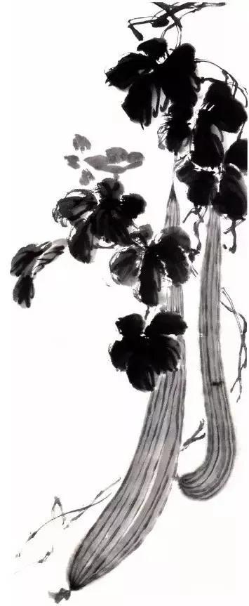 写意丝瓜、叶子、藤蔓、花瓣的画法