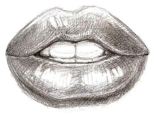 素描嘴巴的画法