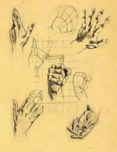 五官和手画法