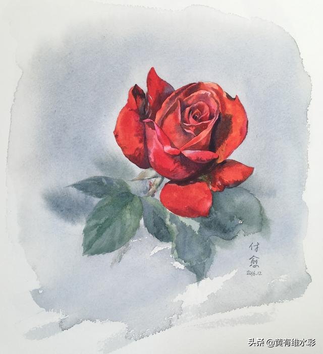 18个详细步骤讲解，教你画水彩红玫瑰，零基础也能学的会