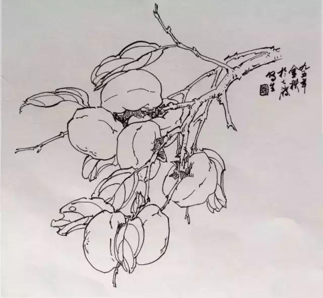 葫芦和柿子的画法