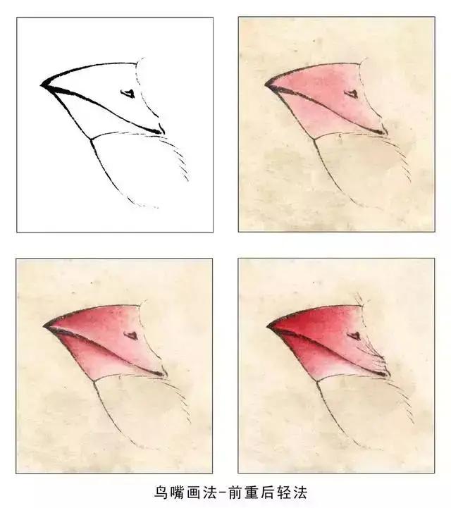 分步骤讲解禽鸟工笔画画法