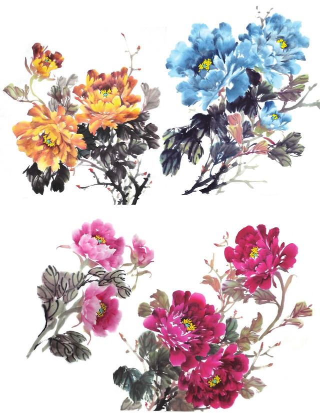 牡丹花枝干及组合的画法