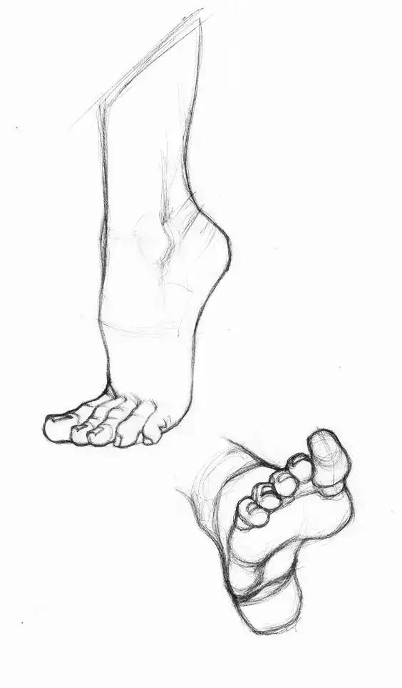 不脚的结构素描画法