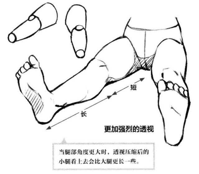 「推荐」如何画好人体透视？动漫人物各个角度透视的画法