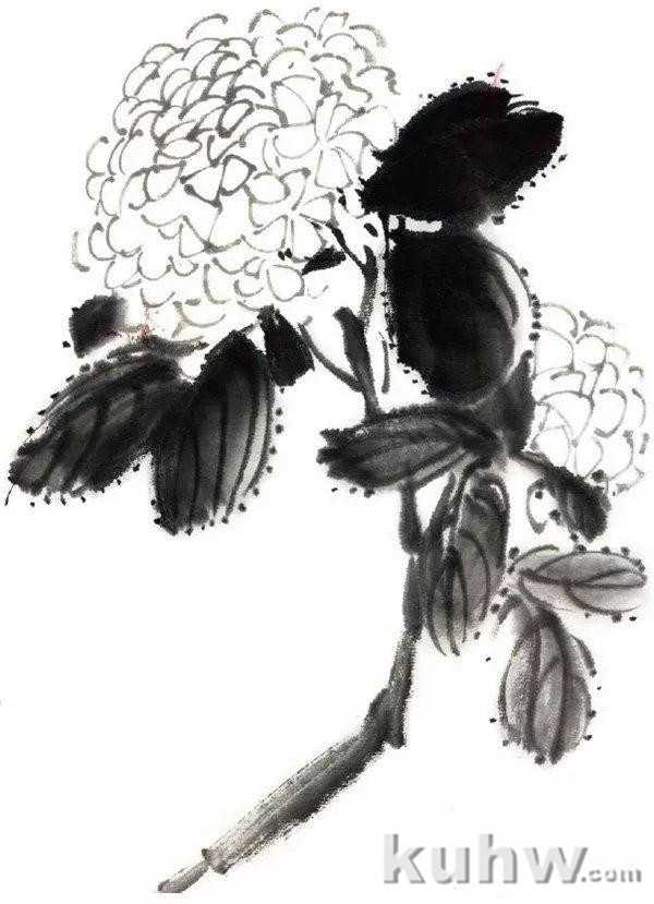 国画教程 :水墨绣球花的绘画技法