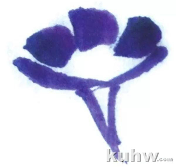 国画教程:国画牵牛花的绘画教程