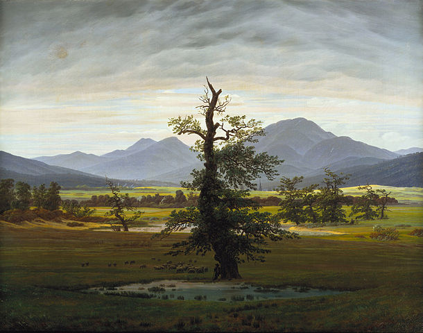 卡斯珀·大卫·弗里德里希（Caspar David Friedrich）作品《晨曦中的乡村风景（孤树）》