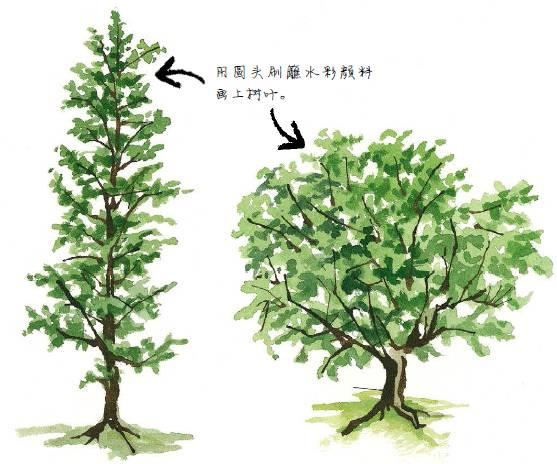 水彩画的技法教程 3