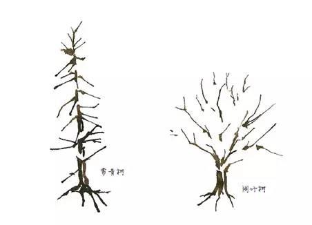 水彩画的技法教程 3
