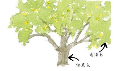 水彩画的技法教程 3