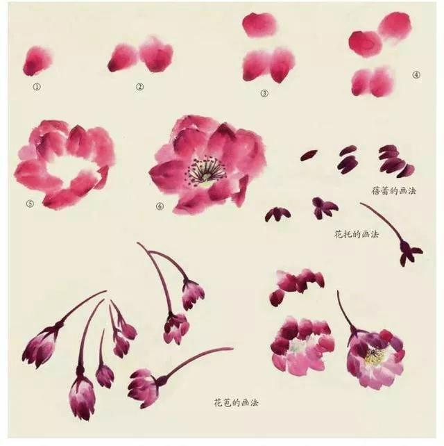 小写意花卉画法步骤：桃花、百合、绣球、鸡冠花