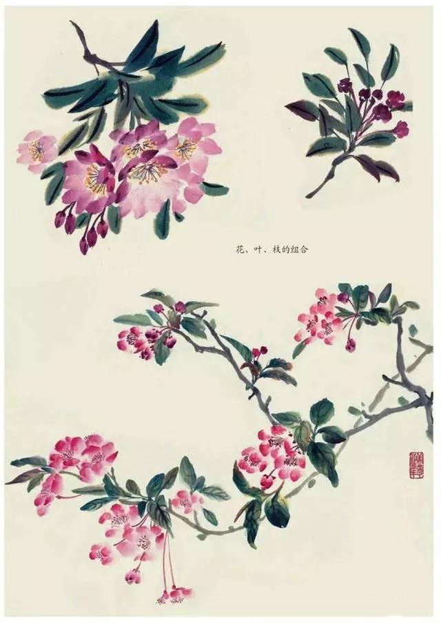 小写意花卉画法步骤：桃花、百合、绣球、鸡冠花
